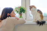 Können Tiere unsere Gedanken lesen? Ein Blick auf ihre erstaunlichen Fähigkeiten Aufmacher